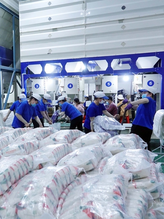 Gạo Việt tăng giá đến 15 USD nhưng vẫn rớt hạng