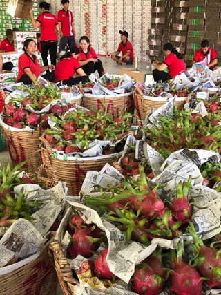 Trái cây xuất ngoại giá tăng, loại bán nội địa lại giảm