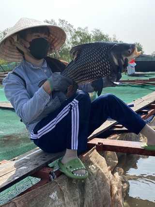 Cô giáo mầm non rẽ hướng với nghề nuôi cá, thu nhập hàng trăm triệu đồng/năm