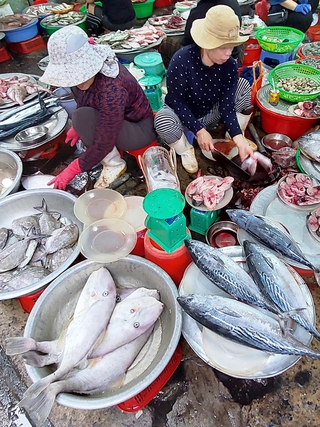 Khám phá chợ hải sản lớn nhất Đà thành