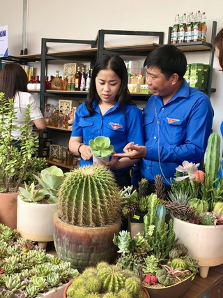 Ra mắt hợp tác xã dịch vụ nông nghiệp thanh niên đô thị
