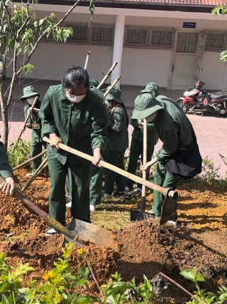 Sinh viên trồng hàng ngàn cây xanh
