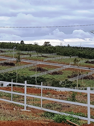 Chấm dứt hiệu lực các văn bản 'gây khó' trong tách thửa