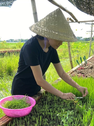Nhiều người trẻ đi làm công… không lương