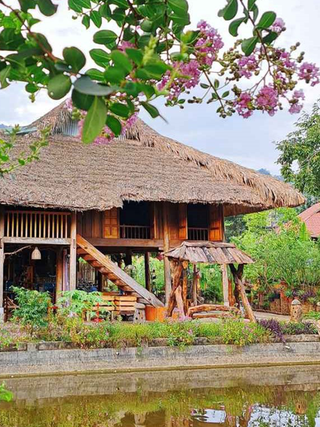 Vỡ mộng vì làm... homestay