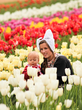 Lễ hội hoa tulip tại Hà Lan: sự kiện không thể bỏ qua khi đến châu Âu