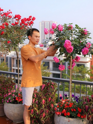 Chi 200 triệu đồng để làm vườn hồng trên sân thượng