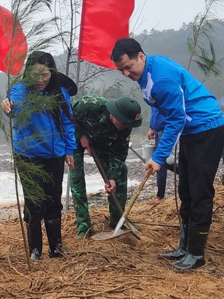Trồng 10.000 cây phi lao phòng hộ ven biển Nghệ An