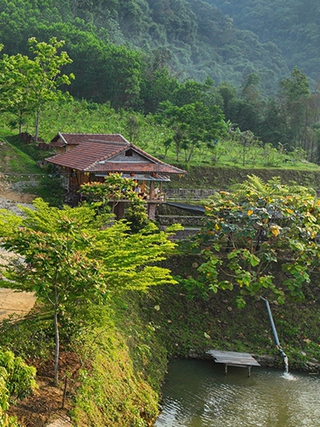 Ấn tượng khu farmstay của chàng trai Pa Kô trên dãy Trường Sơn