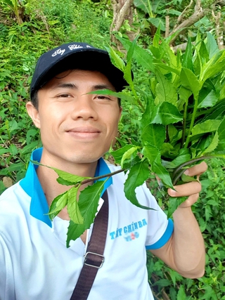 Chàng trai gác bằng cử nhân công nghệ thông tin về quê bán rau rừng