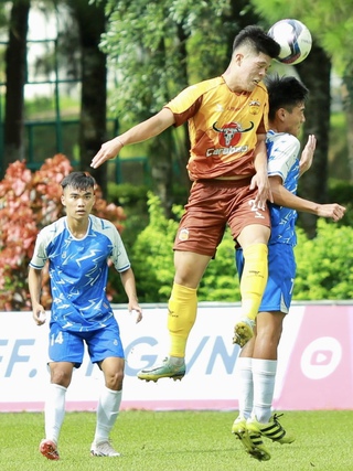 Tạm dừng tất cả các trận đấu trong hệ thống thi đấu quốc gia tại Việt Nam