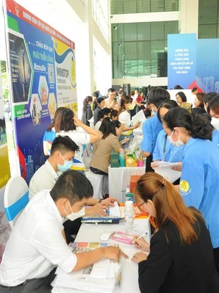 Thực hư chuyện tốt nghiệp đại học loại khá, TOEIC 700 vẫn xin làm… giúp việc nhà