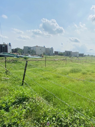 Tranh cãi giá đất nông nghiệp tại TP.HCM