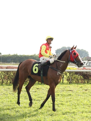 Chú ngựa trẻ Thiên Mã của Việt Nam lập chiến công tại Malaysia