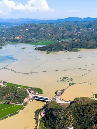 Hàng trăm ha trồng lúa ngập trong 'biển nước' vì mưa trái mùa chưa từng có