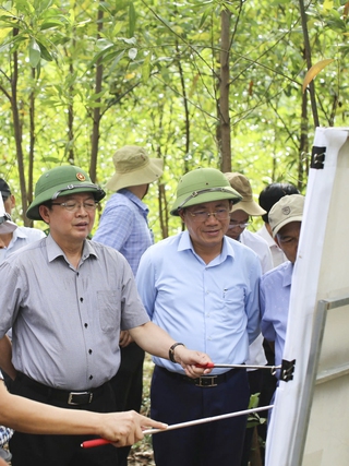Bình Định: Khảo sát Vũng Chua làm sân golf, khu đô thị nghỉ dưỡng