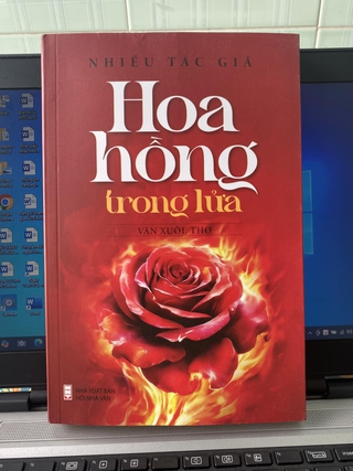 Những bông hồng ra đời trong khói lửa chiến tranh