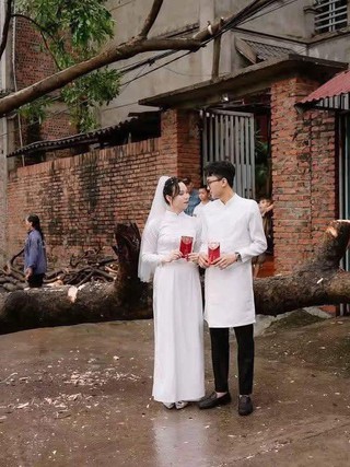 Sự thật bất ngờ về bộ ảnh cưới bên gốc cây ngã đổ sau cơn bão