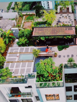 Chi tiền tỉ để trồng rau, nuôi cá trên sân thượng ở tầng 30