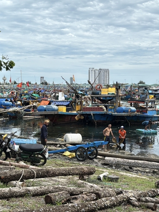 Ngư dân Đà Nẵng tất bật ra khơi sau bão số 10 