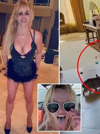 Britney Spears khiến khán giả lo ngại khi sống trong biệt thự bừa bộn