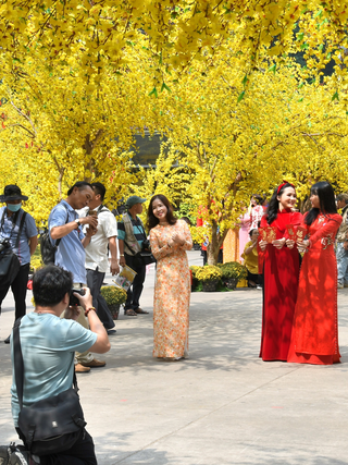 Đường mai - điểm đến lý tưởng của giới trẻ năm nay có gì mới ?