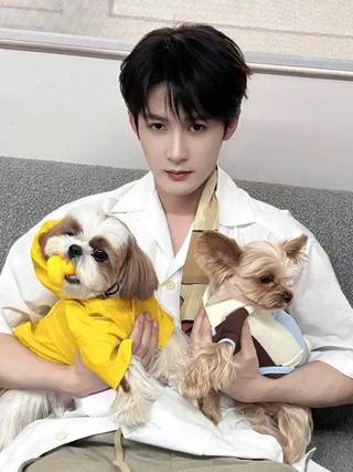 Ồn ào tình ái khiến sự nghiệp mỹ nam Đàn Kiện Thứ chao đảo