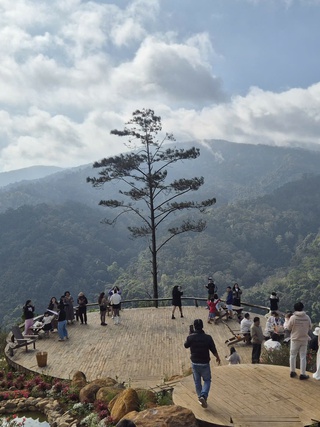 Đi du lịch dịp tết với người lạ: Nên hay không?