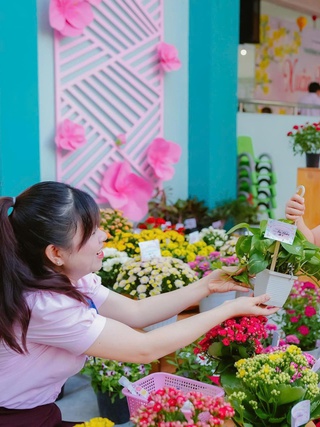 TP.HCM rực rỡ sắc hoa đón tết ở những trường học hàng ngàn mét vuông