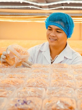 Thạc sĩ làm nông thời công nghệ: Thiết kế khí hậu để nuôi trồng nấm... khó tính