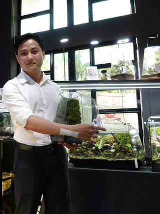Bác sĩ đưa 'rừng nhiệt đới' vào lồng kính, xây dựng chuỗi terrarium lớn nhất Cần Thơ