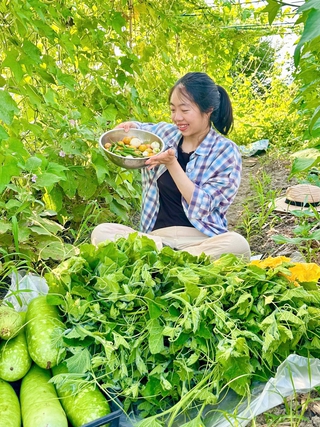 Cô gái Việt cải tạo mảnh đất hoang ở Nhật thành vườn rau xanh mướt