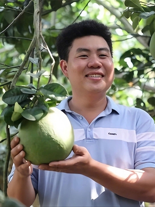 9X cho bưởi da xanh 'sinh đẻ có kế hoạch', thu khoảng 8 tỉ đồng/năm