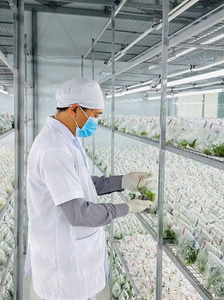 Đưa công nghệ vào cây giống, nâng tầm nông sản quê nhà