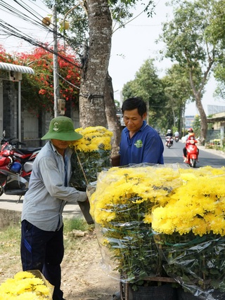 Làng hoa Mỹ Phong ở Đồng Tháp rạo rực, gần 1 triệu giỏ hoa tết ra phố