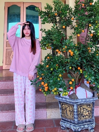 Valentine 'rơi' đúng dịp tết: Các chàng trai mua chậu quất tặng người yêu