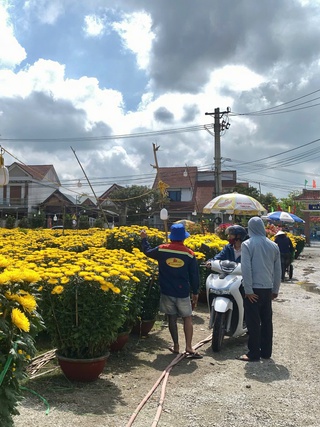 Chợ hoa ngày 28 tết: nơi tấp nập người mua, chỗ đìu hiu ngóng khách