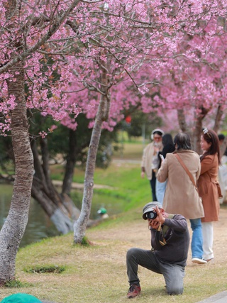 Thợ ảnh dạo Đà Lạt: Bỏ in hình, chuyển sang 'bắn' file, thu tiền triệu mỗi ngày