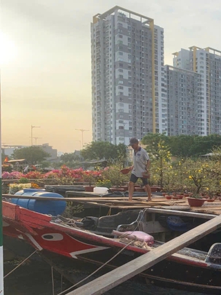 Mưu sinh ở Bến Bình Đông: Những chiếc ghe chở cả một cái tết