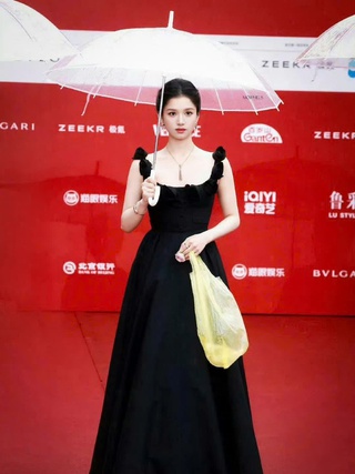 'Chiếc túi nilon hơn 46 triệu đồng' của Trương Tịnh Nghi gây tranh cãi