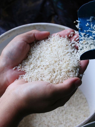 Những loại gạo mà người bị tiểu đường không nên bỏ qua