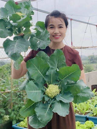 Khu vườn 'mùa nào thức ấy' xanh mướt trên sân thượng