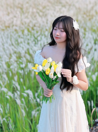 Cánh đồng cỏ lau nở trắng xóa khiến nhiều người mê mẩn check-in