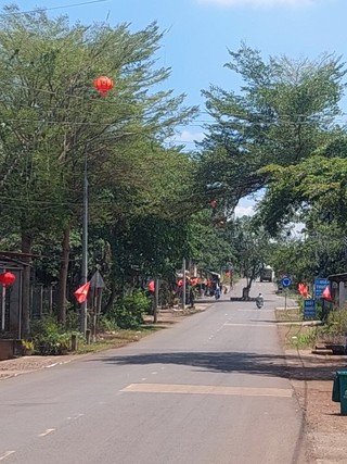 Tàn cây che khuất tầm nhìn