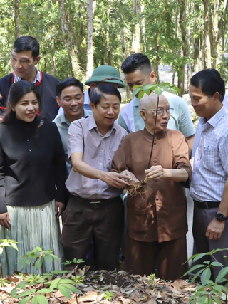 Tặng 3.000 cây sâm Ngọc Linh cho thanh niên miền núi