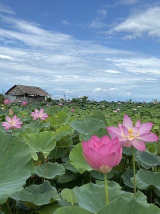 Cô gái miền Tây làm nông trại nghỉ dưỡng thu hút từ 200 - 300 lượt khách/tháng