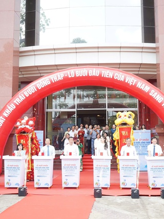 Đồng Tháp xuất khẩu lô bưởi đầu tiên sang Úc