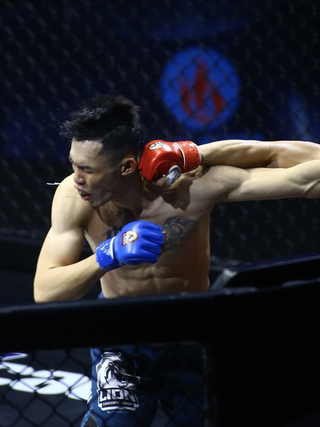 Cảnh báo nóng về website cá cược trái phép liên quan MMA tại Việt Nam

