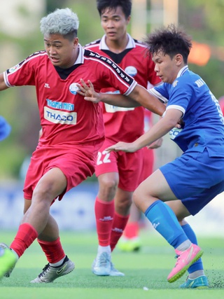 'Trường ĐH Nha Trang, đứng lên...'