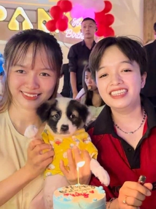 Sao nỡ ăn ‘người bạn’ của mình?: Giới trẻ nói thẳng về thịt chó, mèo